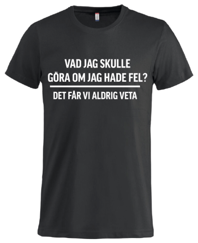 Vad jag skulle
